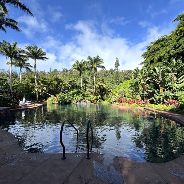 Wellness & Relaxation