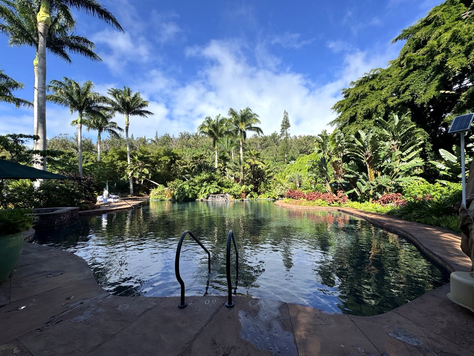 Four Seasons Resort Lanai tropical pool — lush garden pool surrounded by palms and tropical foliage